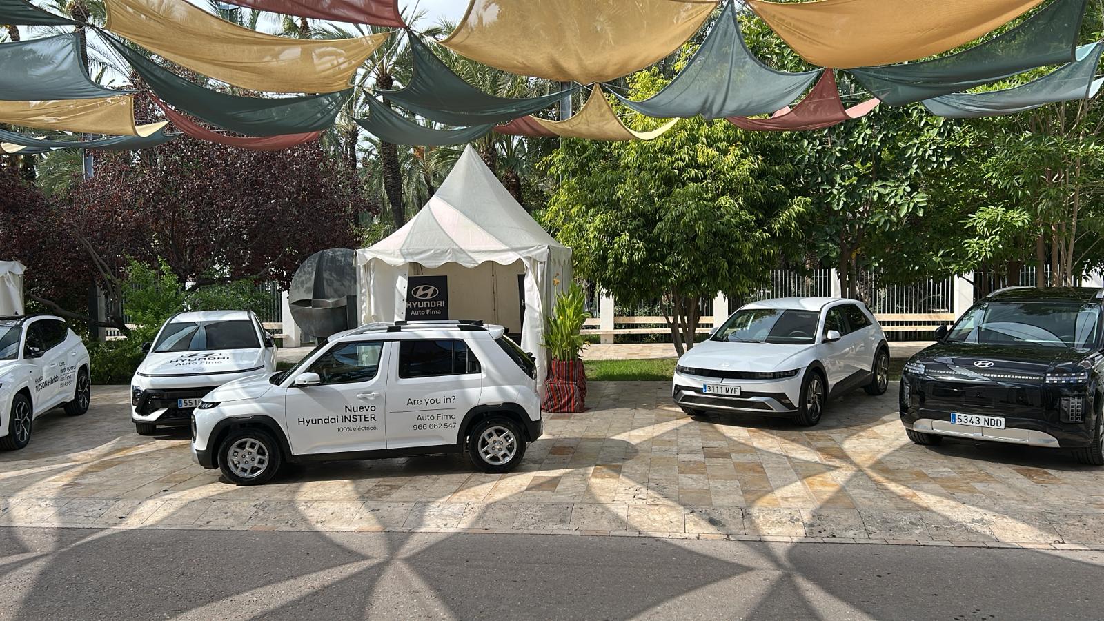 Evento Fireta del Camp D'Elx 2025